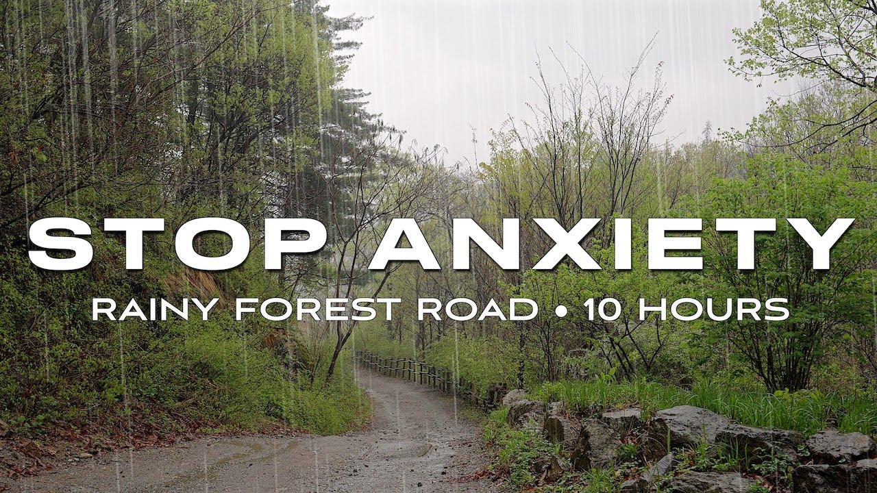 Clear Your Mind & Find Peace | Cozy Forest Sanctuary | Rain Sounds [10 HOURS]