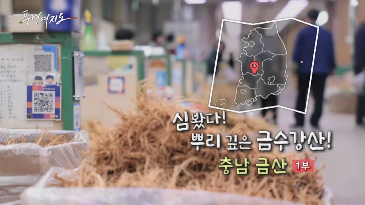 [풍경여지도] 심봤다! 뿌리 깊은 금수강산! - 충남 금산 1부 / 연합뉴스TV (YonhapnewsTV)