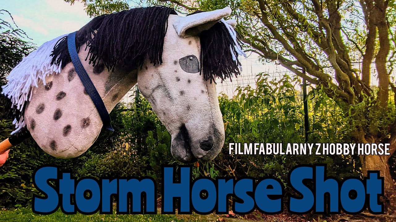STORM HORSE SHOT-Krótkometrażowy film fabularny z HOBBY HORSE cz.2