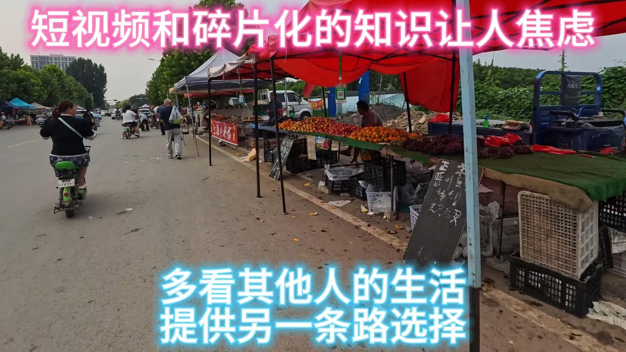 碎片化的知识有时会坏，看他人生活提供另一条路