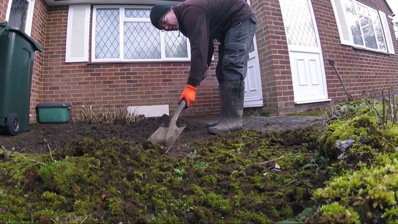 Winter Garden Clean up