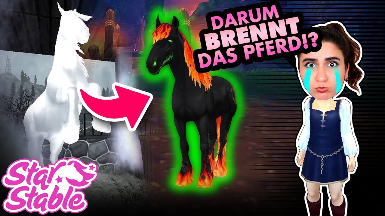Ich muss HEULEN wegen Star Stable!
