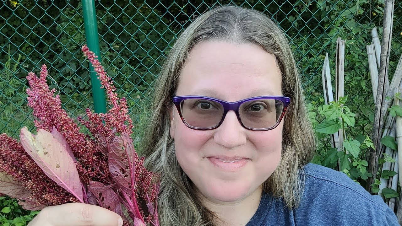 Fall crops, compost & cover crops + harvesting long beans and amaranth