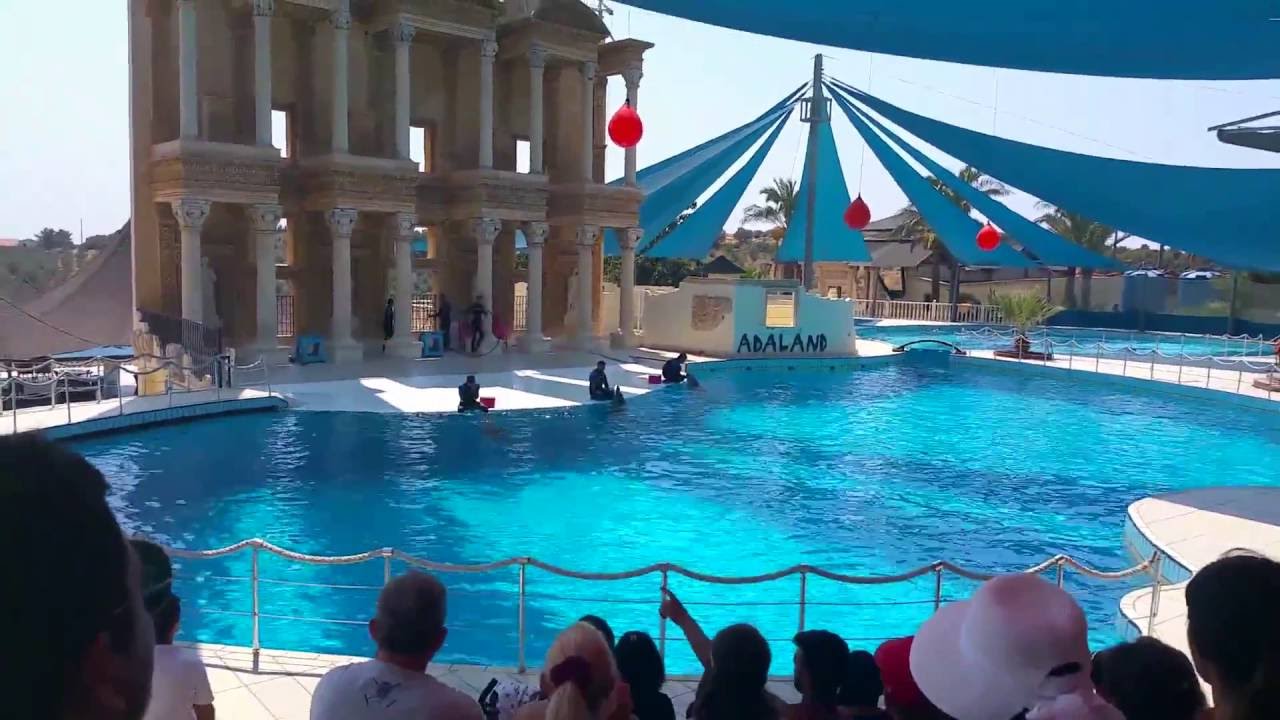 Dolphin Show ADALAND Turkey 10