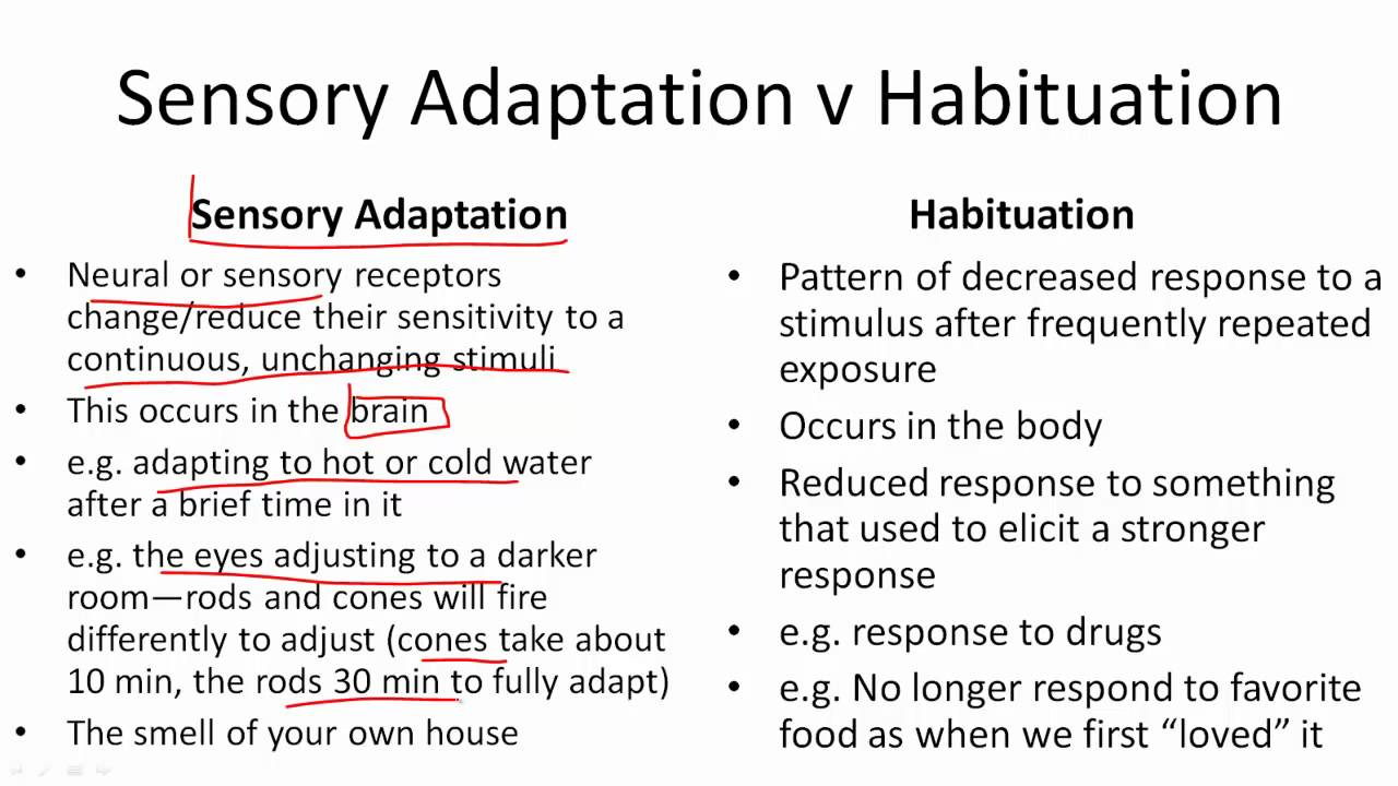 Sensory Adaptation v Habituation
