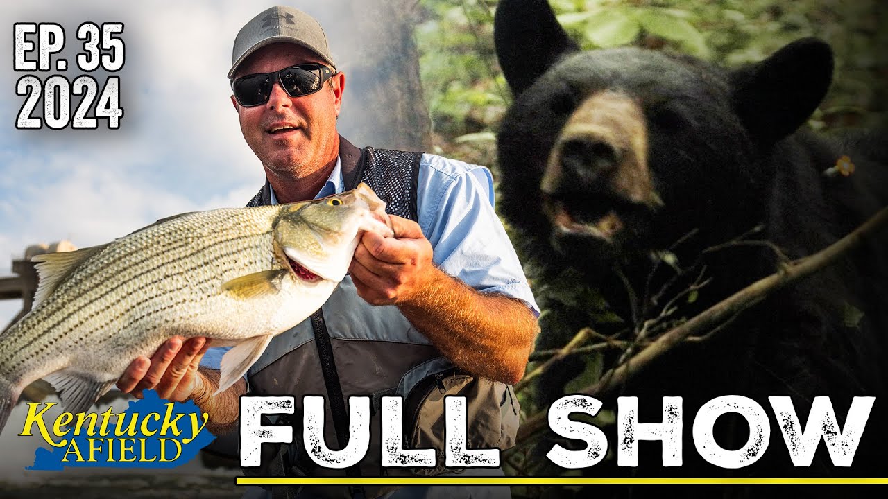 September 21, 2024 Full Show - Hybrids at McAlpine Dam, Black Bear Trapping, Western Ky Small Game