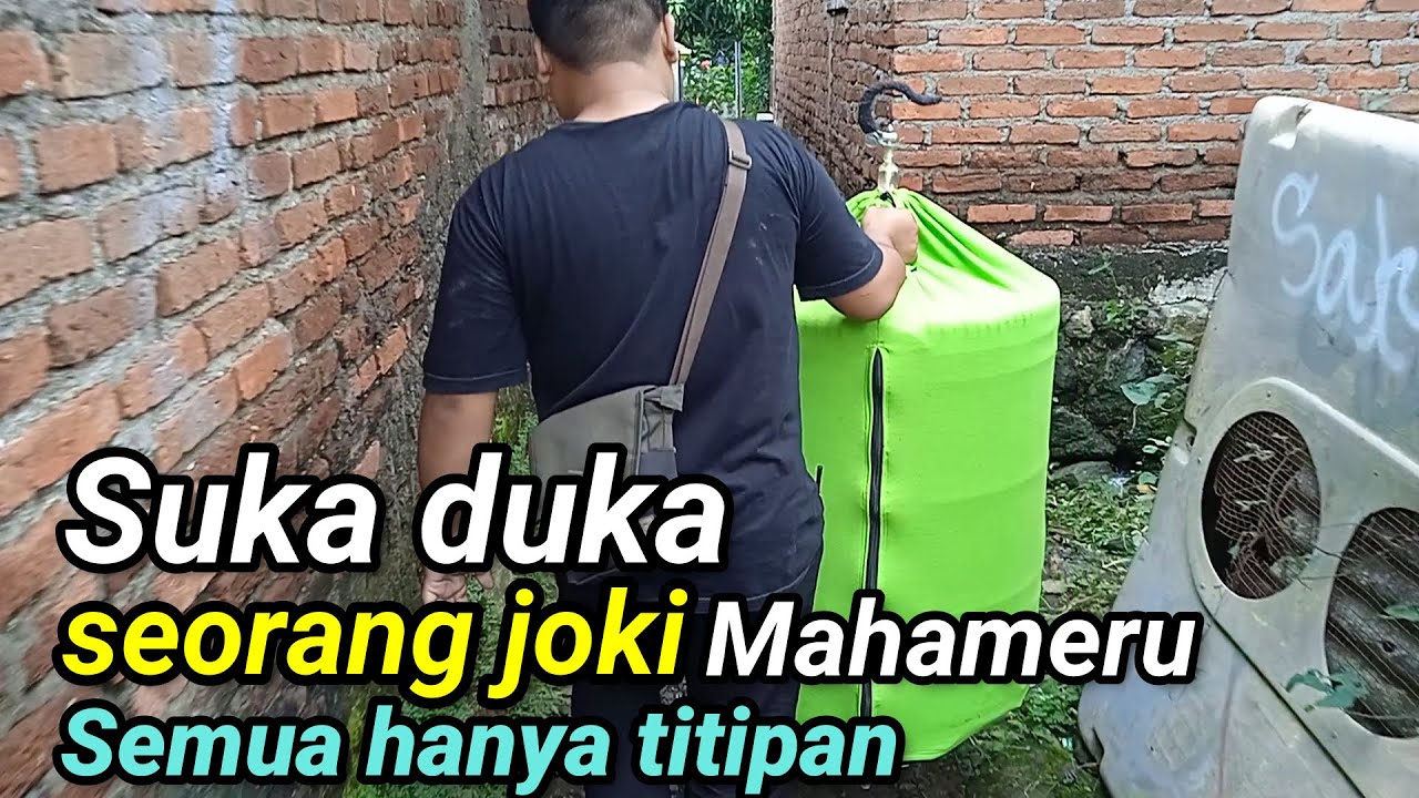 review sang Joki burung legend!!