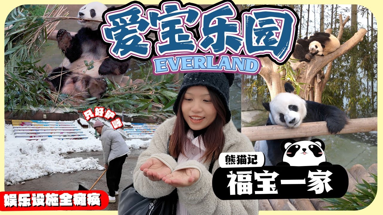 愛寶樂園設施癱瘓！什麼都沒玩到隻能跟熊貓度過一天🐼