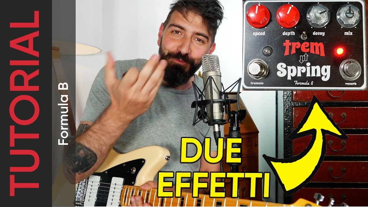 I SEGRETI di TREMOLO e RIVERBERO | Formula B TremSpring | Come si usa