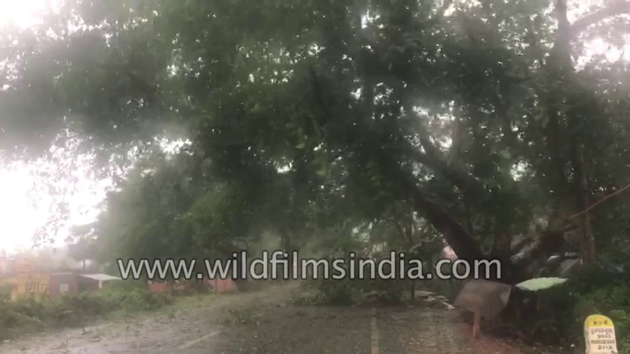 Cyclone Fani reaches Digha in West Bengal