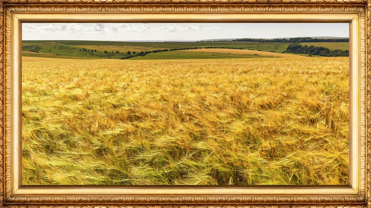 Serene Countryside Scenes | Wallpaper Frame Gallery TV