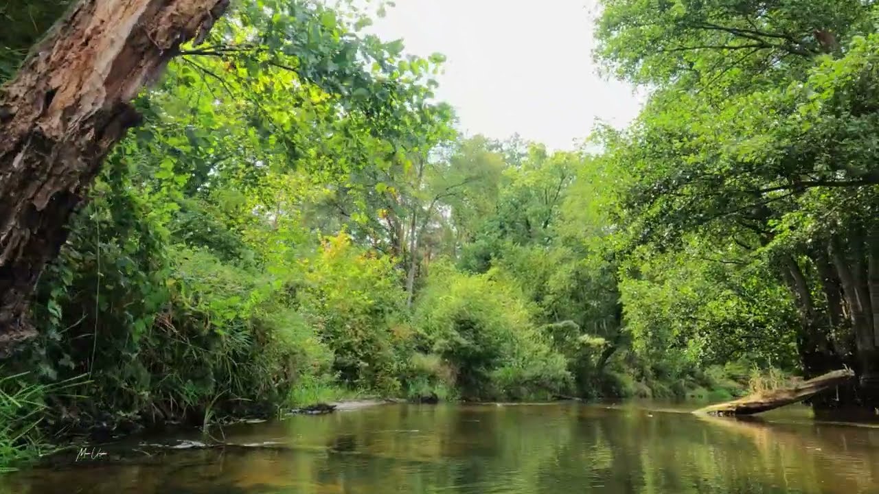 Kayak Rawka River Poland