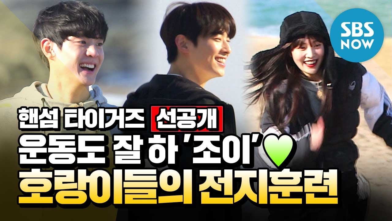 [핸섬타이거즈] 선공개 '운동도 잘 하 '조이'♥ 호랑이들의 전지훈련!' / 'Handsome Tigers' Special | SBS NOW