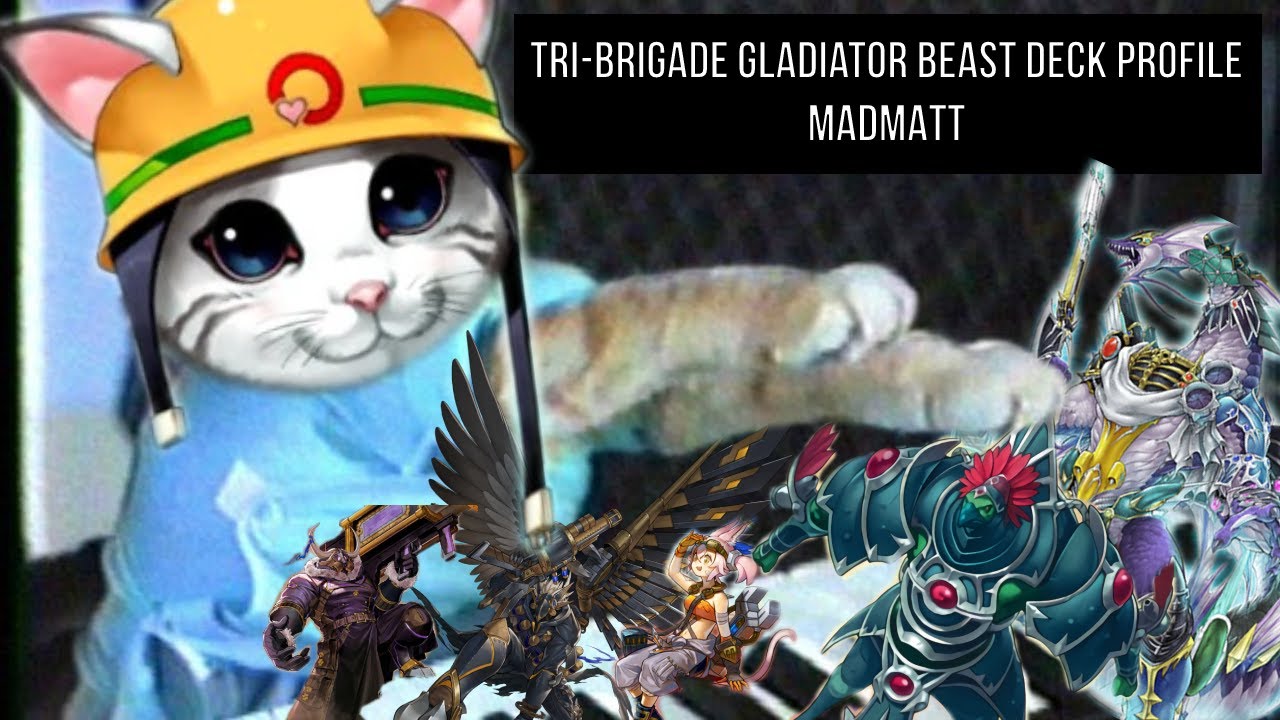 Tri-Brigade Gladiator Beast Deck Profile and Combo Guide Master Duel June 2023