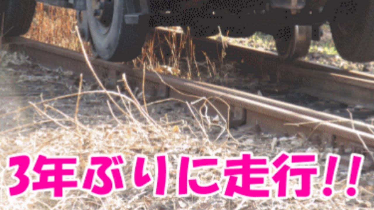 約3年ぶり！？大井川鐵道の不通区間にある車両が入線した！