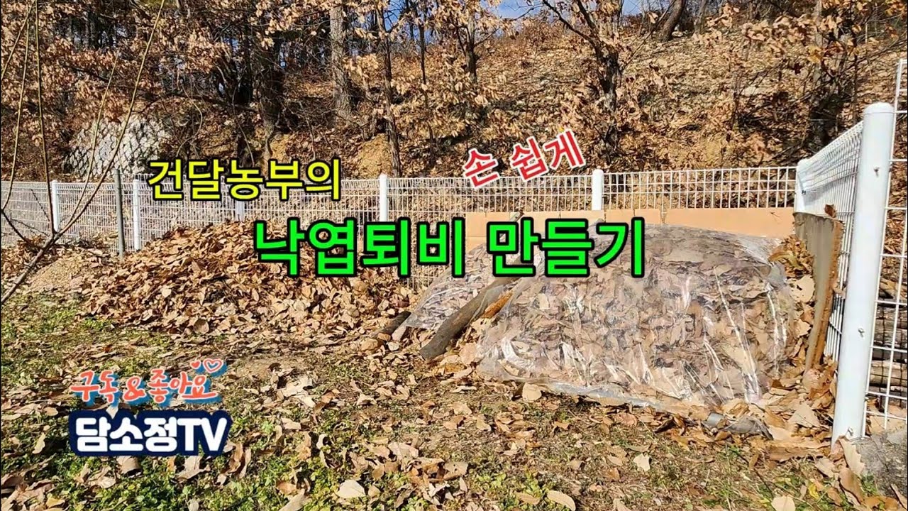 낙엽으로 퇴비 손쉽게 만들기 #낙엽퇴비