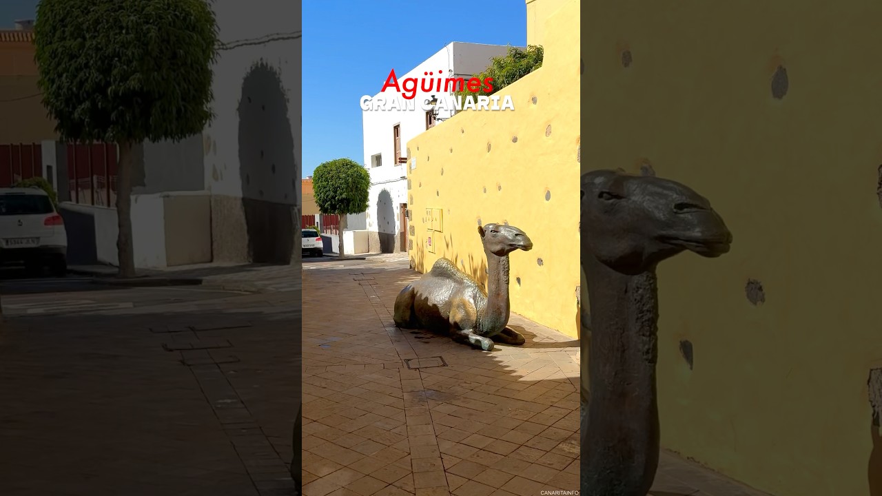 Gran Canaria - Ag&uuml;imes 🇮🇨