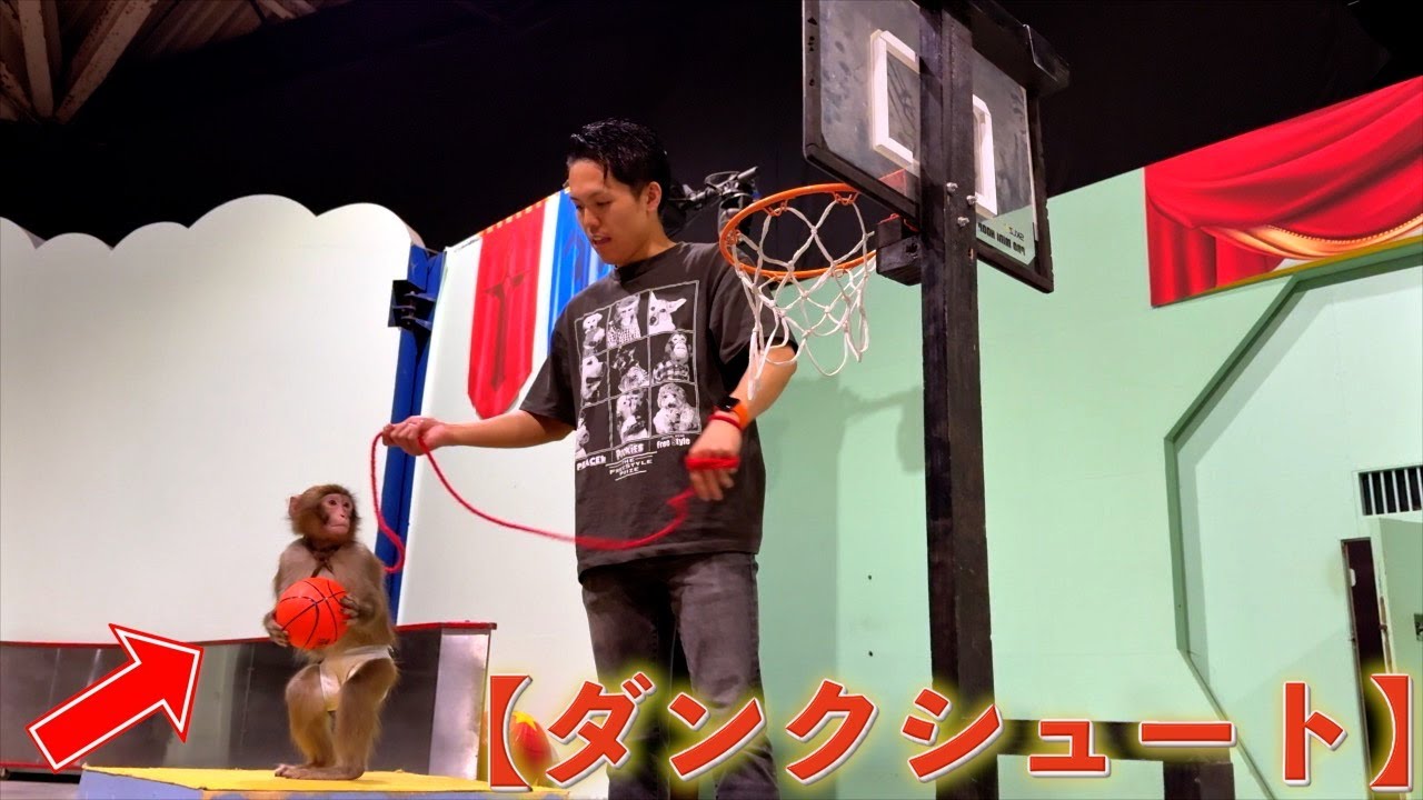 子猿にダンクシュートを教えてみた！