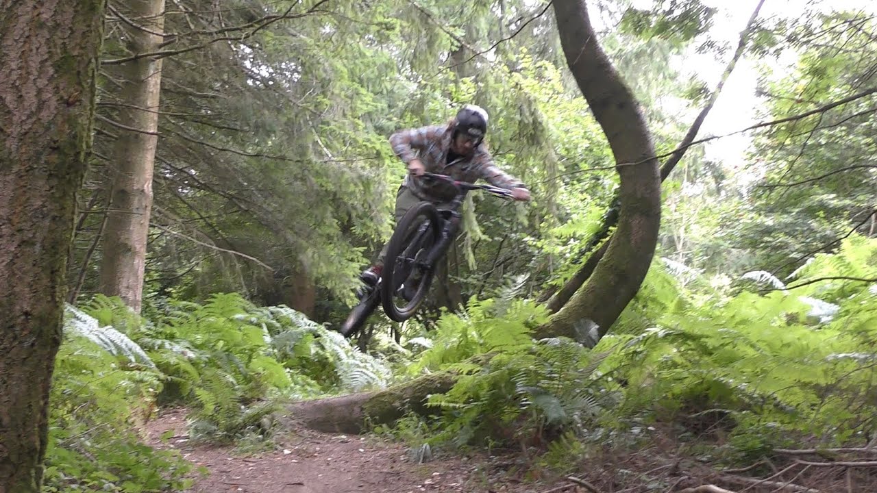 Haldon Forest Mtb - Devon Trail Centre