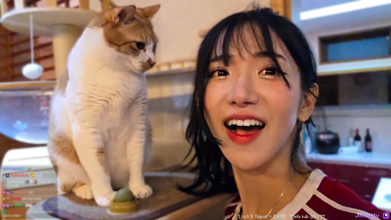 🇰🇷 HANGING OUT WITH CHET 🙂‍2026 02 10