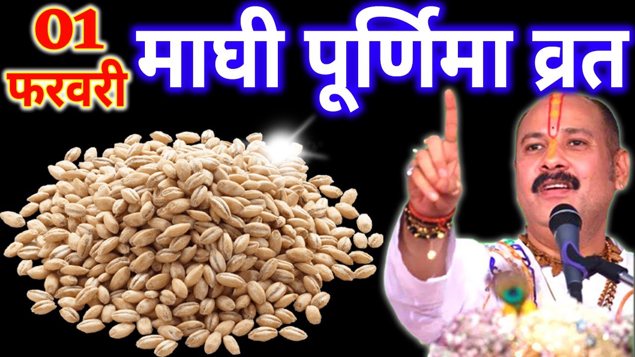 01 फरवरी रविवार माघी पूर्णिमा व्रत के दिन 11 गेंहू के दाने वाला उपाय जरुर करे || Pradeep Ji Mishra
