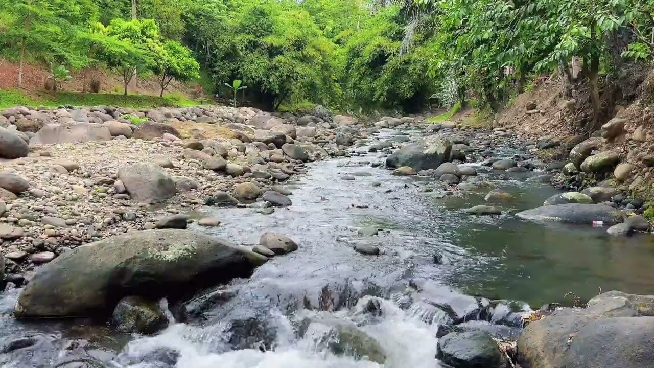 full six hours Pure Forest River Sounds for Deep Sleep, Meditation & Relaxation