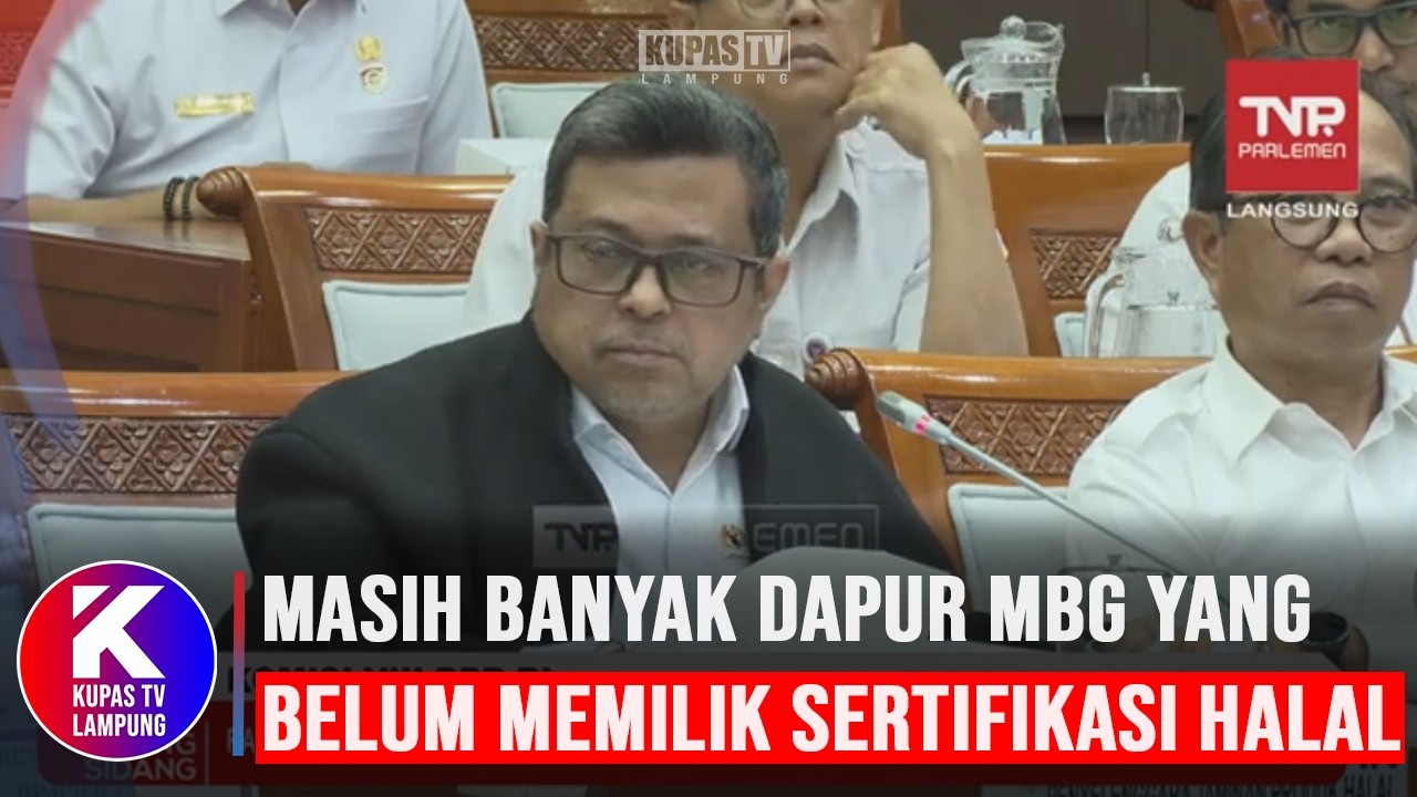 DPR Cecar Babe Haikal Usut Kasus Sertifikasi Halal di Daerah