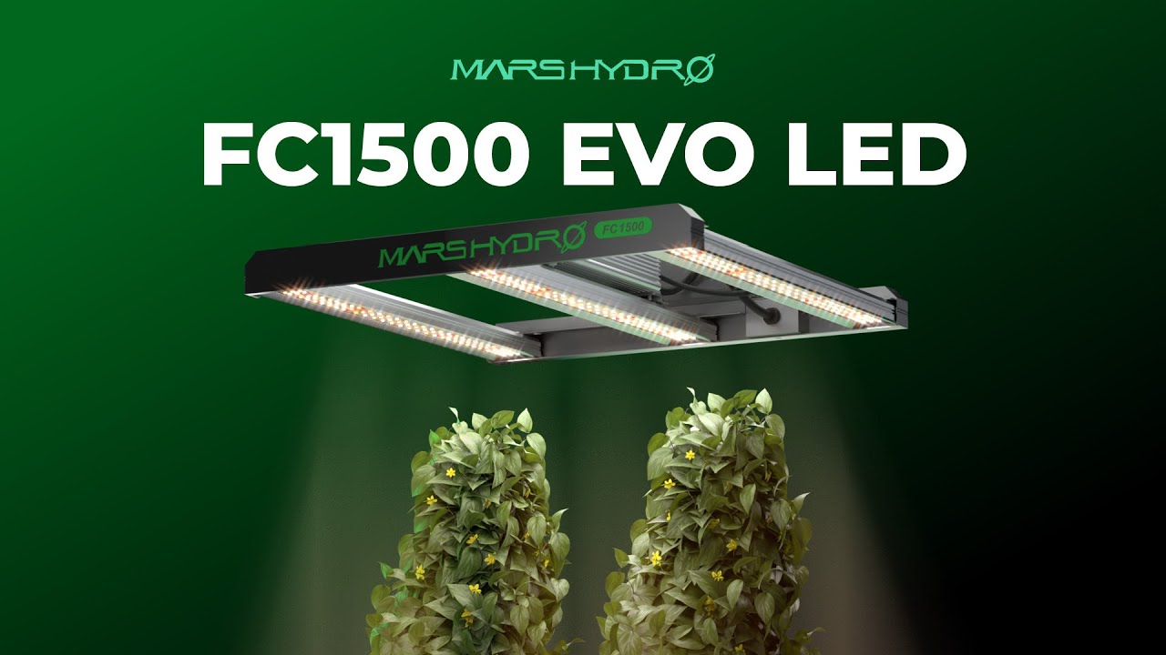 Best LED Grow Light for Small Grow Tents &ndash; FC1500 EVO