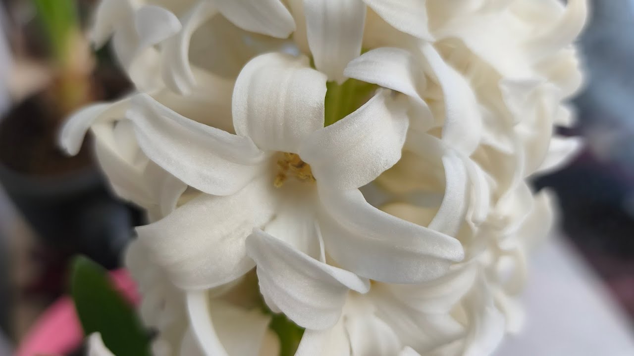 05 и 06.02.26 много чего нового сотворила
