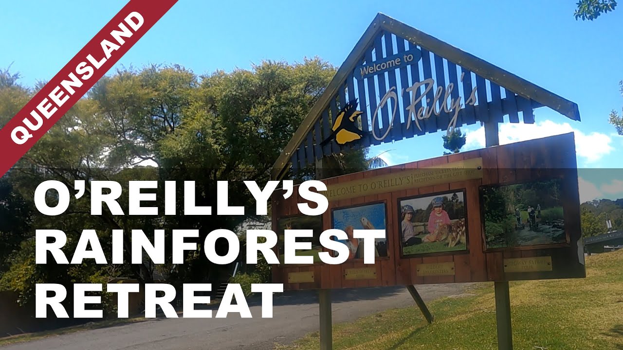O’Reilly’s Rainforest Retreat, Lamington National Park, Queensland, Australia