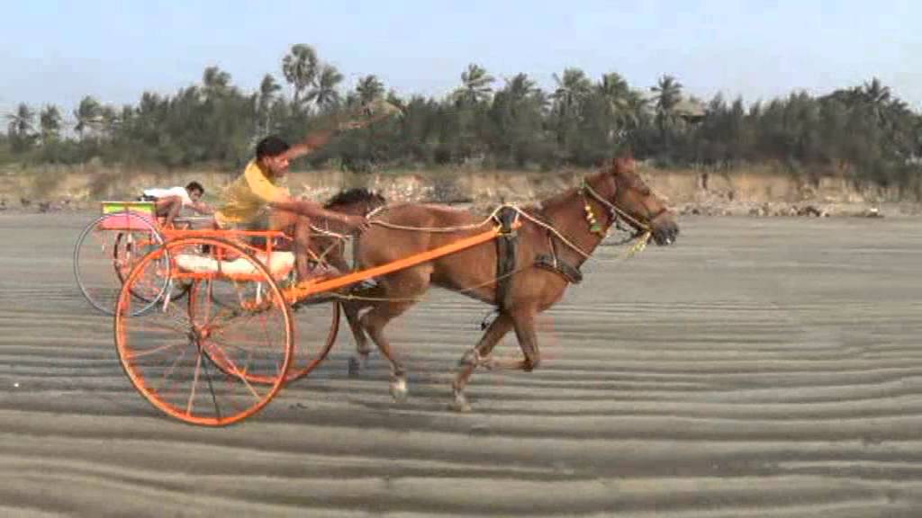AWAS BANDER  GHODAGADI SHARYAT JAN 2014