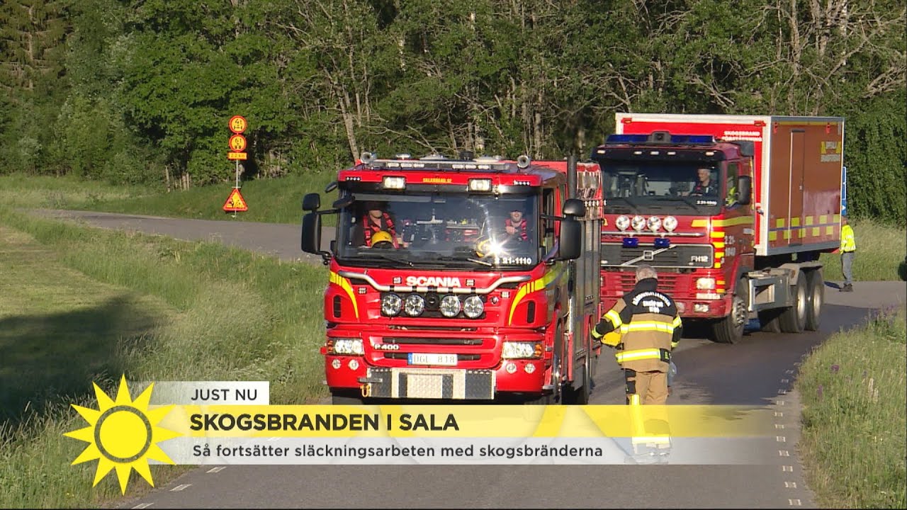 Skogsbranden i Sala 
