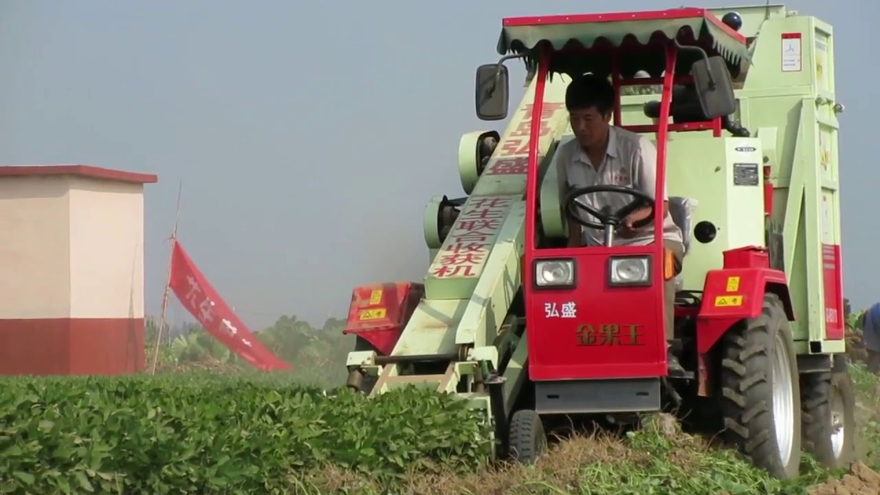 Groundnut harvesting machine technique