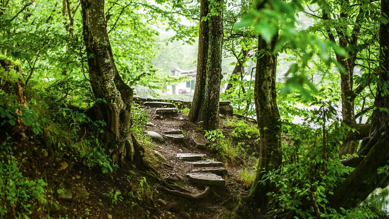 Revenir au calme intérieur