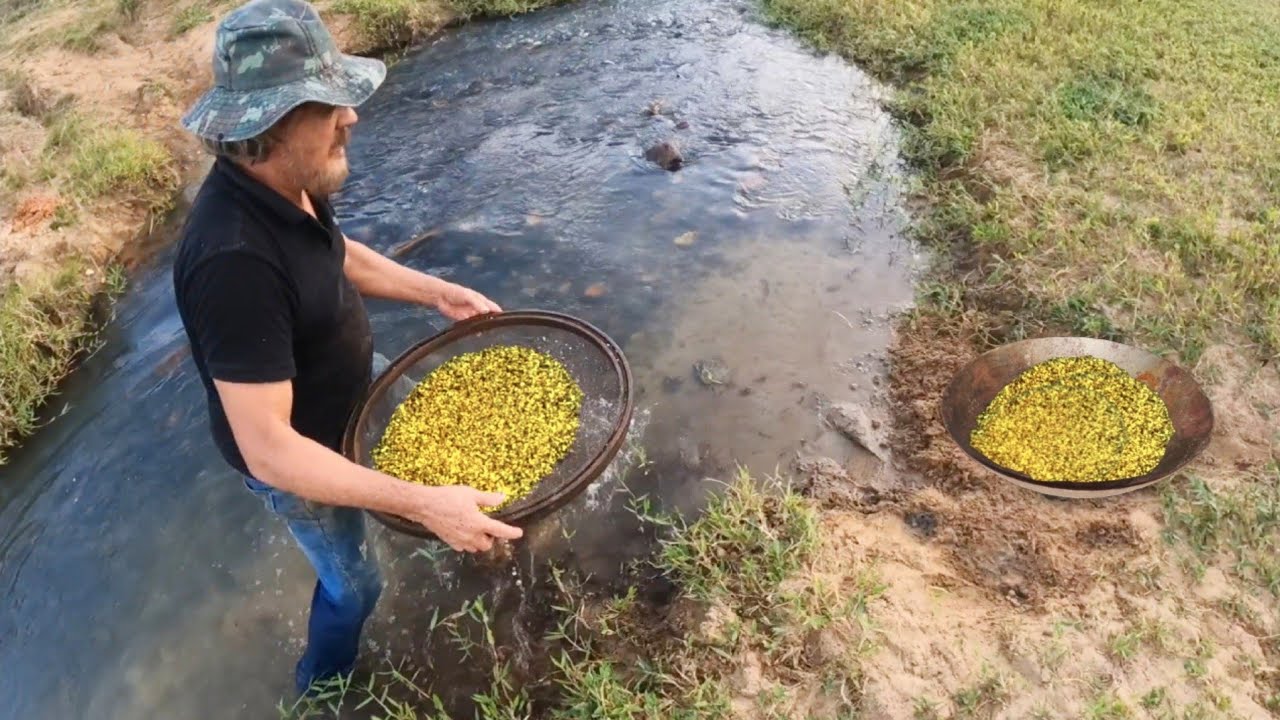 OLHA O TANTO DE OURO QUE ACHEI FAZENDO UM SIMPLES TESTE