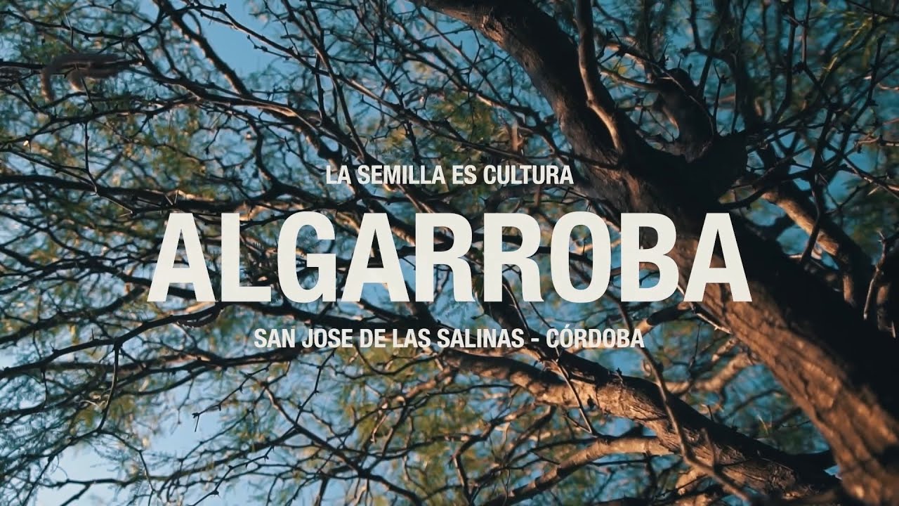 Capítulo 01: Algarroba / San José de las Salinas