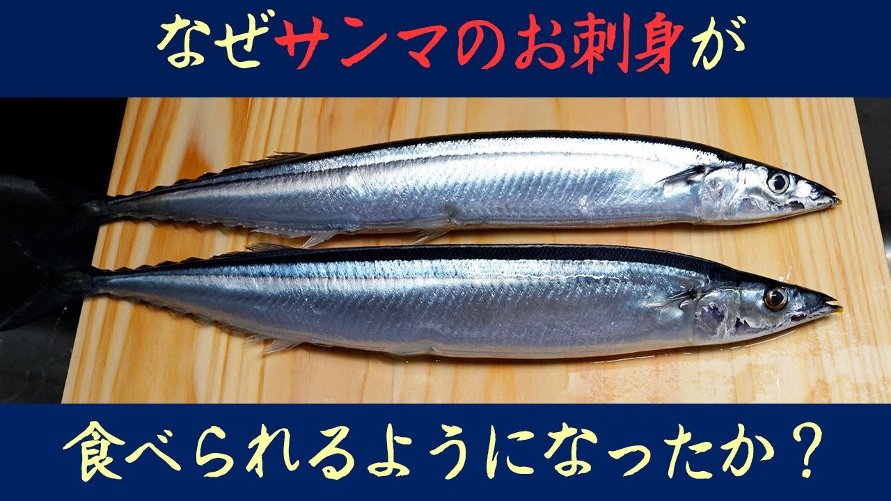 【秋刀魚】お刺身を安全に食べるためにリスクと対策を知る
