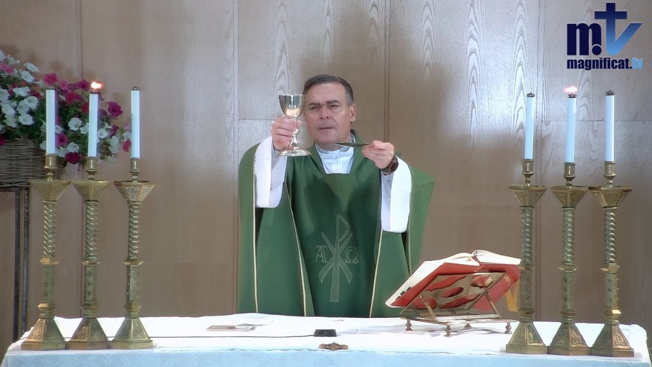 La Santa Misa de Hoy | Martes, XI semana del Tiempo Ordinario (17-06-25) | Pbro. Javier Mart&iacute;n, FM