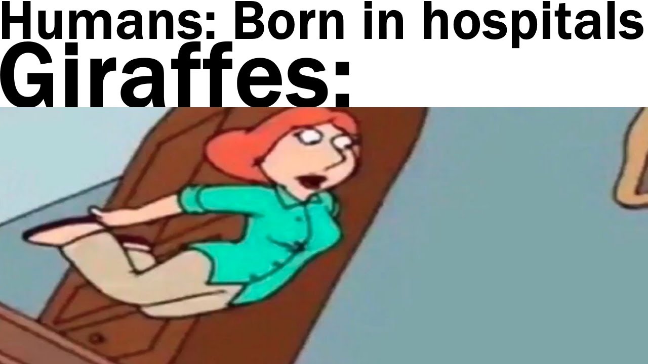 Daily Juicy Memes 1206