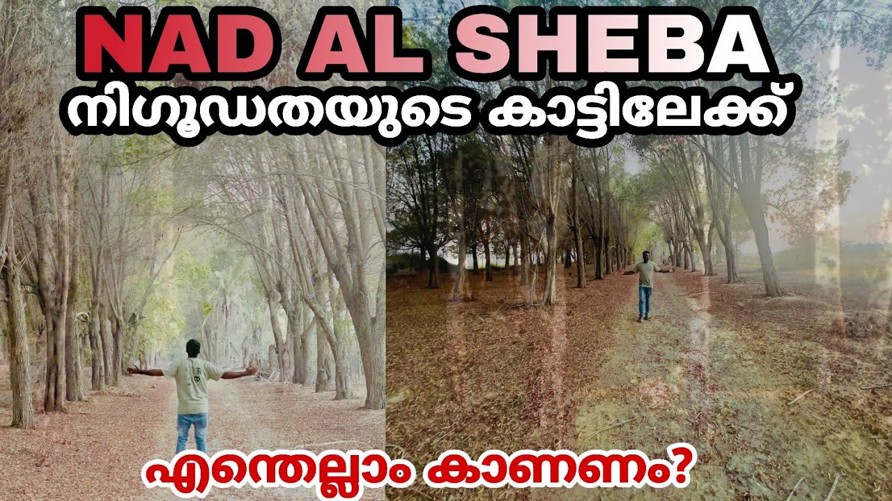 ആർക്കാണ് നിഗൂഢതകൾ ഇഷ്ടമില്ലാത്തത്? investigation journey to Nadalshiba forest