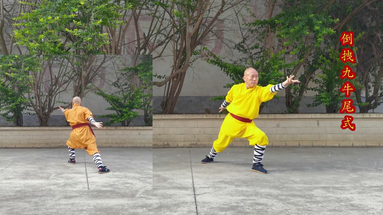 少林达摩易筋经功法 - 韦驮劲十二式