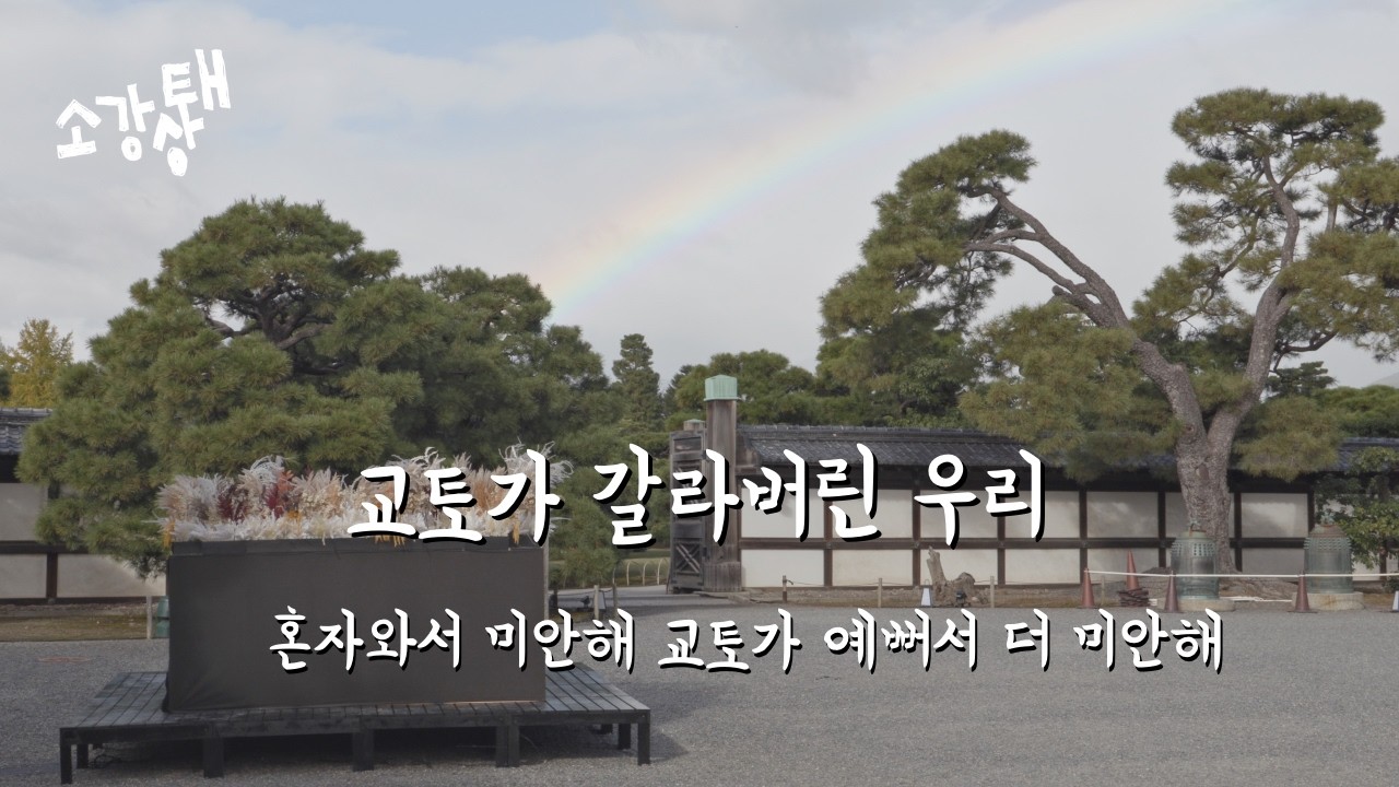 여자친구에게 보내는 교토 & 오사카 여행 편지 🍁 | 교토 새벽 산책, 니조성 무지개 브이로그