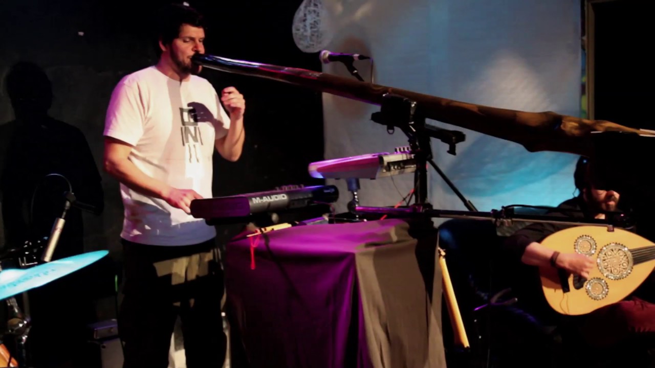 Analogue Birds - Puzzled