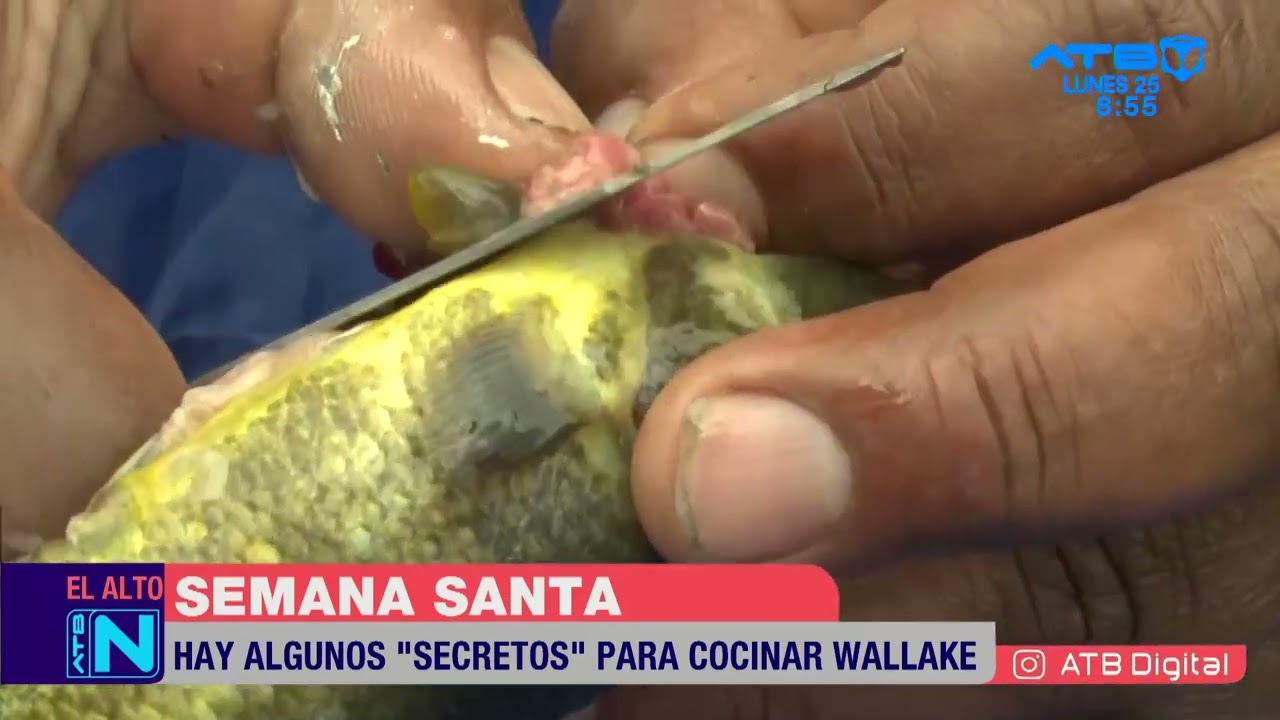Secretos para preparar el wallake