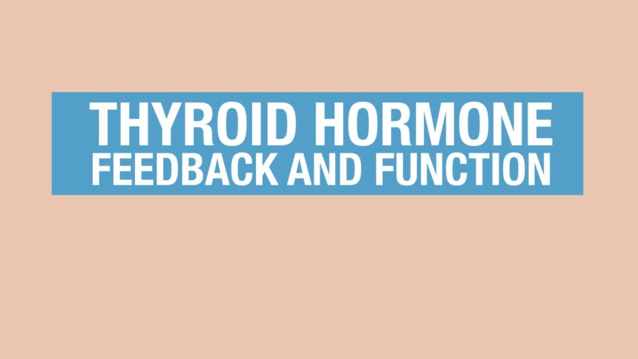 Human Physiology - Thyroid Hormone Feedback and Function
