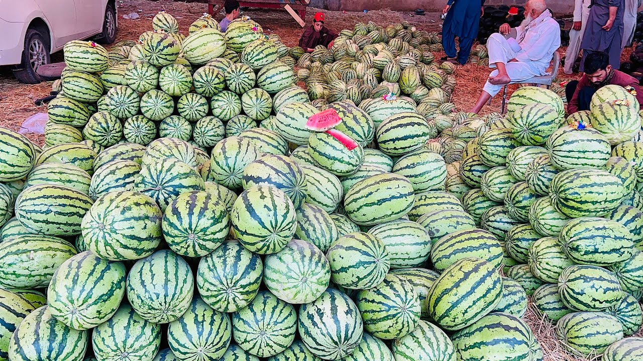 Karachi Sabzi Mandi 15 Feb 2026 rates today| Karachi Fruit Mandi rates todayKarachi 