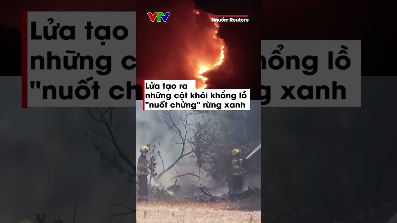 Cảnh tượng như &ldquo;hỏa ngục&rdquo; trong vụ ch&aacute;y rừng ở ch&acirc;u &Acirc;u | VTV24