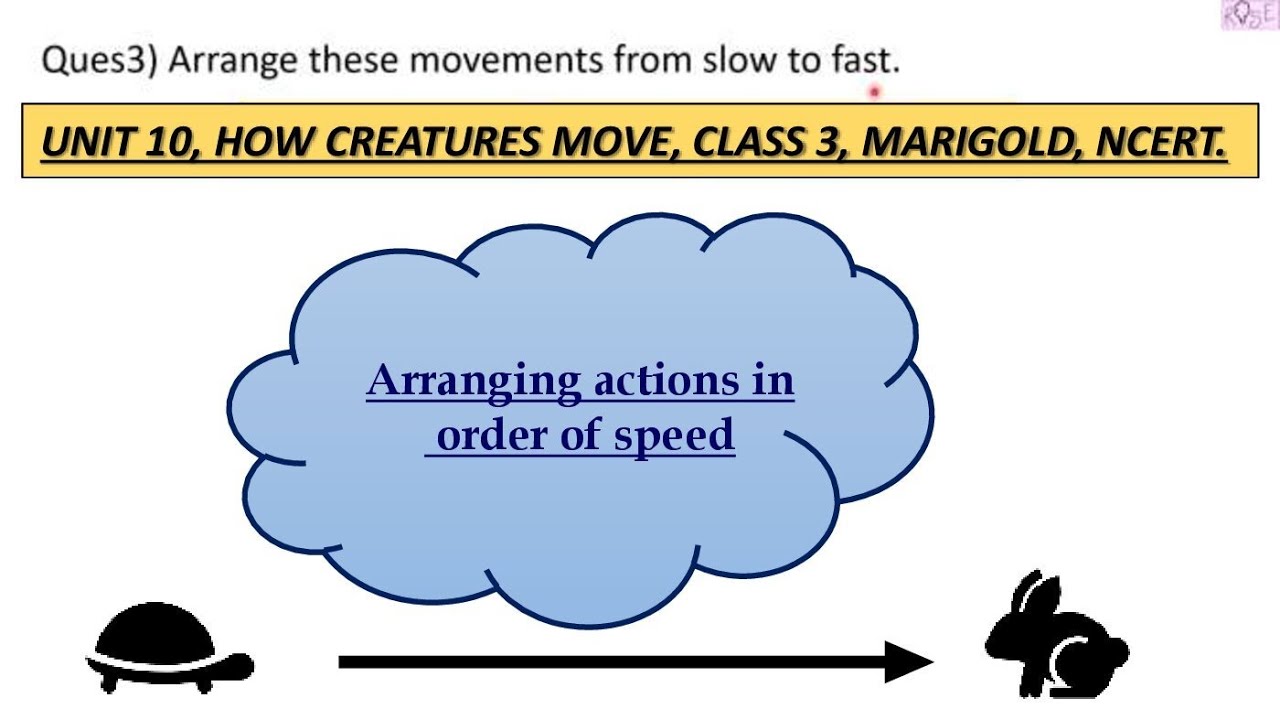 Class 3 English Marigold Unit 10 | How creatures move ? | Arranging actions in order of speed |