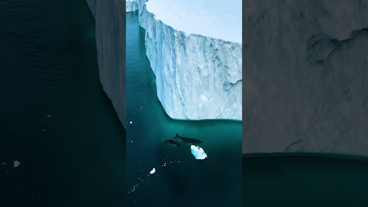 Ethereal beauty of Antarctica and a mystical allure of Antarctica&rsquo;s landscapes.