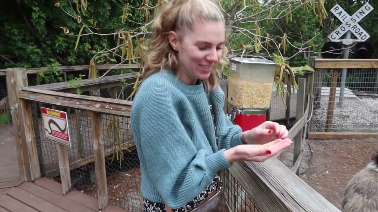 Gatorland, Old Town Kissimee en World Food Trucks! 🐊 | Dag 13
